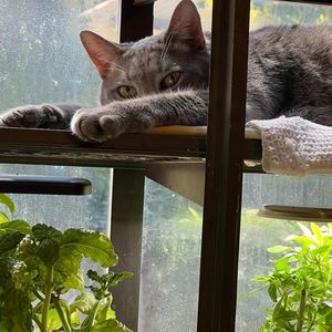 Meet your Posher, Sandra